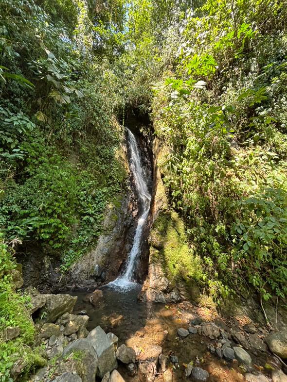 0f992258-680e-44ec-a29e-9b27f31c6e34