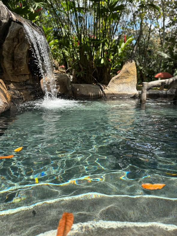 WhatsApp Image 2025-09-03 at 09.29.43